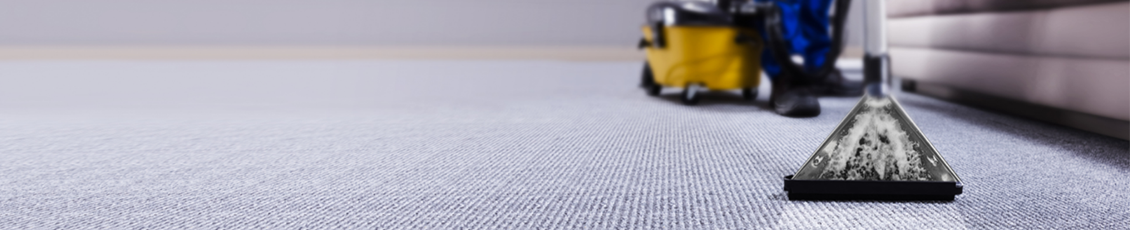 Carpet Cleaning 