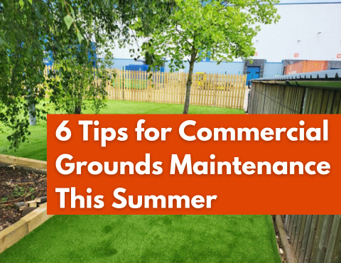 6 Tips for Commercial Grounds Care This Summer 